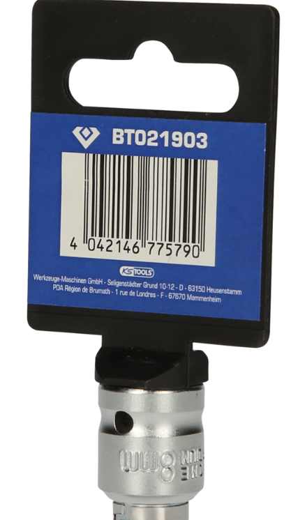 zo-th-1